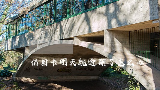 信用卡明天就逾期了怎么办 信用卡明天就逾期了怎么办