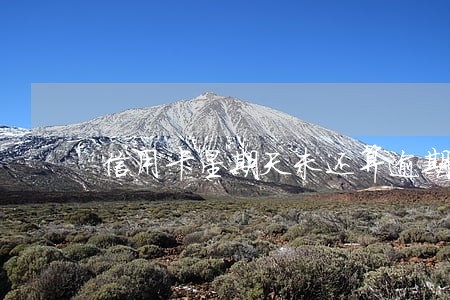 信用卡星期天未还算逾期吗 信用卡星期天未还算逾期吗