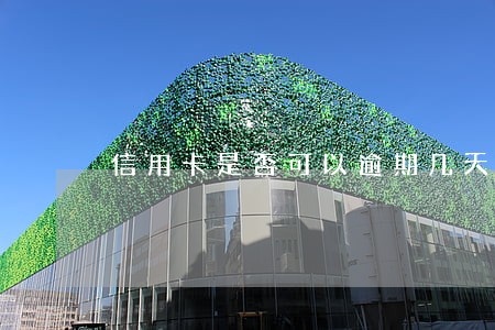 信用卡是否可以逾期几天 信用卡是否可以逾期几天