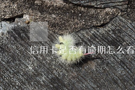 信用卡是否有逾期怎么看