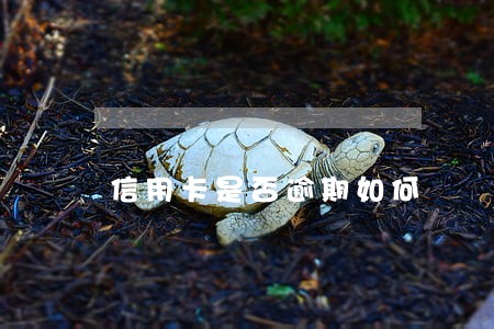 信用卡是否逾期如何 信用卡是否逾期如何