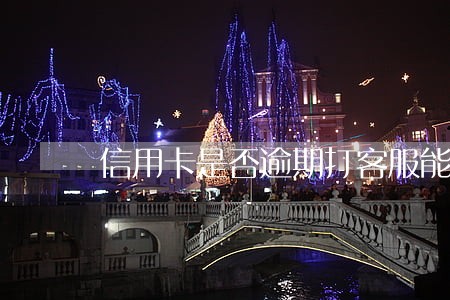 信用卡是否逾期打客服能查吗 信用卡是否逾期打客服能查吗