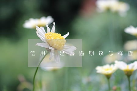 信用卡是否逾期该怎样查询 信用卡是否逾期该怎样查询