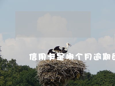 信用卡是哪个月逾期的