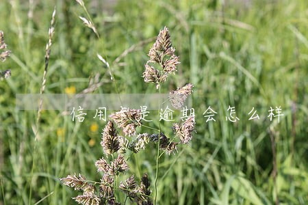 信用卡是逾期会怎么样 信用卡是逾期会怎么样