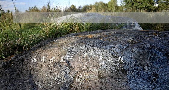 信用卡显示13天逾期 信用卡显示13天逾期