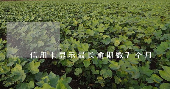 信用卡显示最长逾期数7个月 信用卡显示最长逾期数7个月