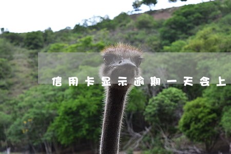 信用卡显示逾期一天会上征信吗 信用卡显示逾期一天会上征信吗