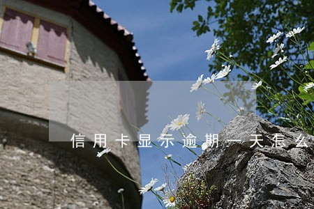 信用卡显示逾期一天怎么办 信用卡显示逾期一天怎么办
