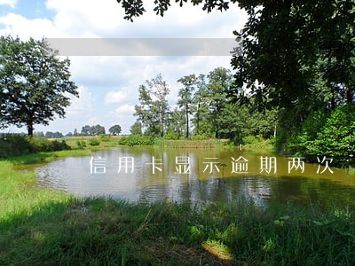信用卡显示逾期两次 信用卡显示逾期两次