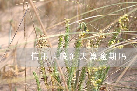 信用卡晚3天算逾期吗 信用卡晚3天算逾期吗