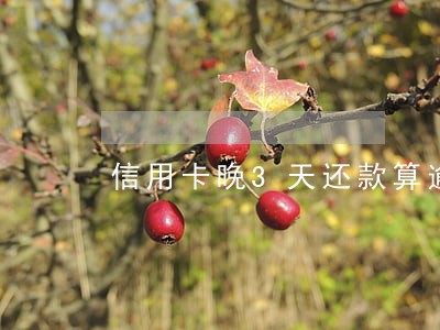 信用卡晚3天还款算逾期 信用卡晚3天还款算逾期