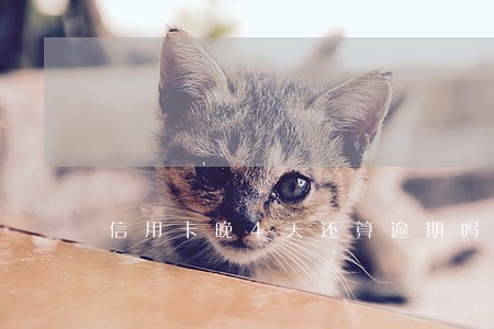 信用卡晚4天还算逾期吗 信用卡晚4天还算逾期吗