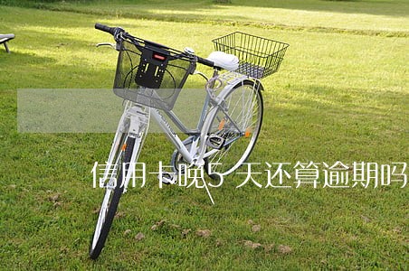 信用卡晚5天还算逾期吗 信用卡晚5天还算逾期吗