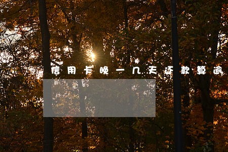 信用卡晚一几天还款算逾期吗 信用卡晚一几天还款算逾期吗
