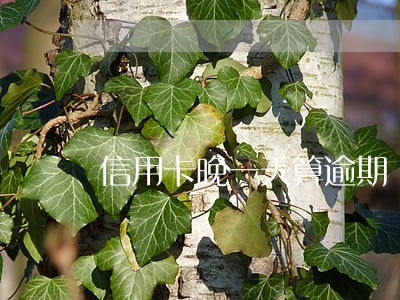 信用卡晚一天算逾期 信用卡晚一天算逾期