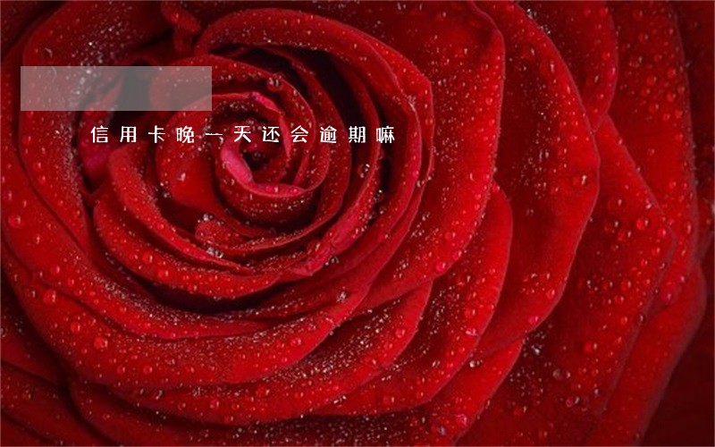 信用卡晚一天还会逾期嘛