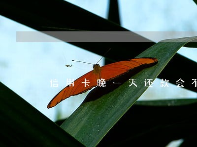 信用卡晚一天还款会不会逾期 信用卡晚一天还款会不会逾期