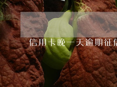 信用卡晚一天逾期征信 信用卡晚一天逾期征信