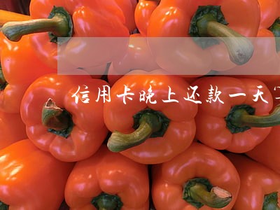 信用卡晚上还款一天算逾期吗 信用卡晚上还款一天算逾期吗