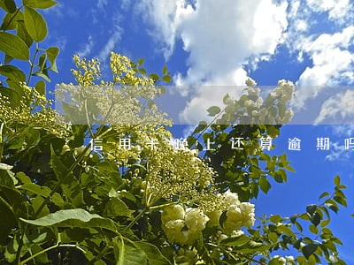 信用卡晚上还算逾期吗