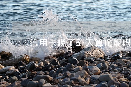 信用卡晚了5天算逾期吗