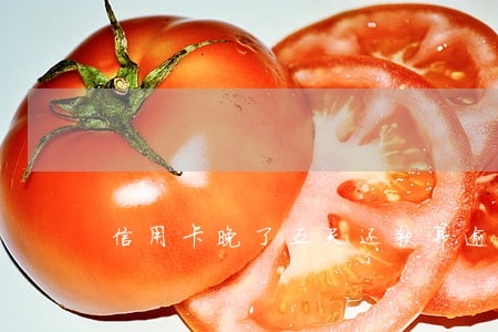 信用卡晚了五天还款算逾期么 信用卡晚了五天还款算逾期么