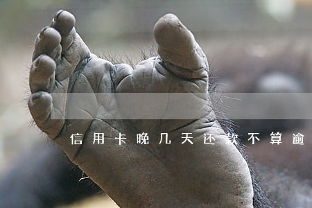 信用卡晚几天还款不算逾期 信用卡晚几天还款不算逾期