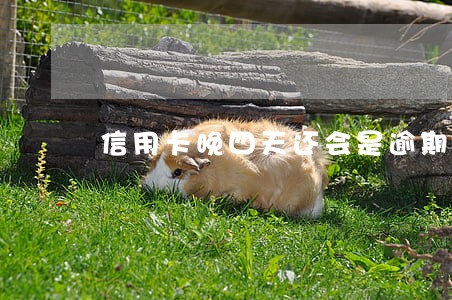 信用卡晚四天还会是逾期吗
