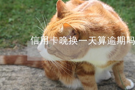 信用卡晚换一天算逾期吗 信用卡晚换一天算逾期吗