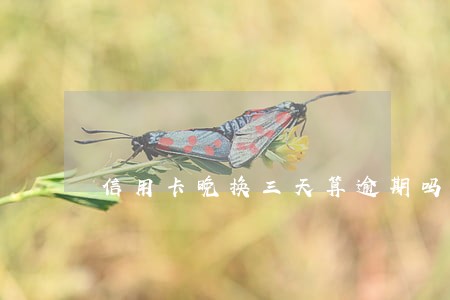 信用卡晚换三天算逾期吗 信用卡晚换三天算逾期吗