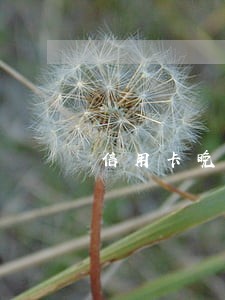 信用卡晚还10天算逾期 信用卡晚还10天算逾期