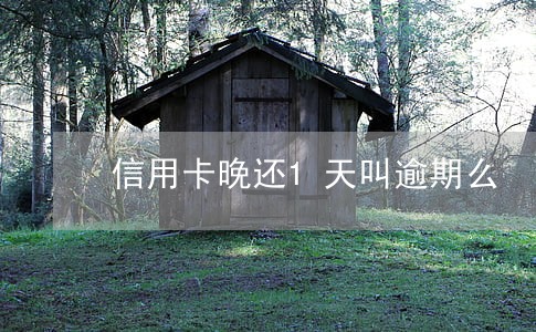 信用卡晚还1天叫逾期么