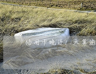 信用卡晚还1天算逾期