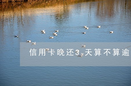 信用卡晚还3天算不算逾期