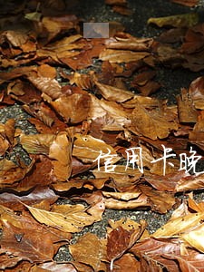 信用卡晚还7天算逾期