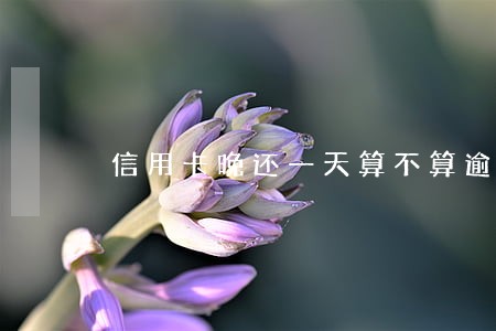 信用卡晚还一天算不算逾期 信用卡晚还一天算不算逾期