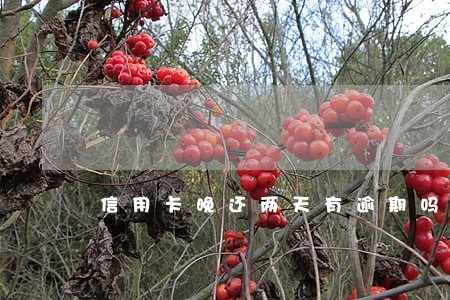 信用卡晚还两天有逾期吗 信用卡晚还两天有逾期吗