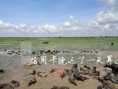 信用卡晚还了一天算逾期吗 信用卡晚还了一天算逾期吗