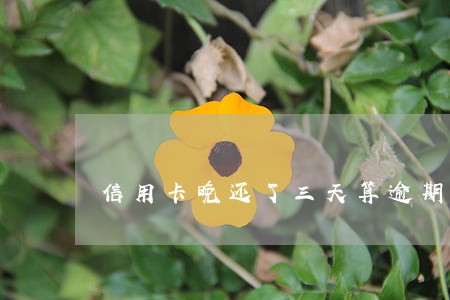 信用卡晚还了三天算逾期吗 信用卡晚还了三天算逾期吗