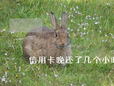 信用卡晚还了几个小时算逾期么 信用卡晚还了几个小时算逾期么
