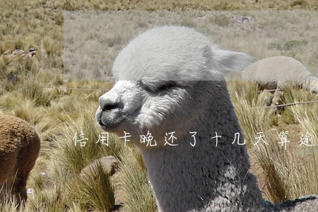 信用卡晚还了十几天算逾期吗 信用卡晚还了十几天算逾期吗