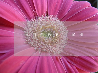 信用卡晚还会逾期