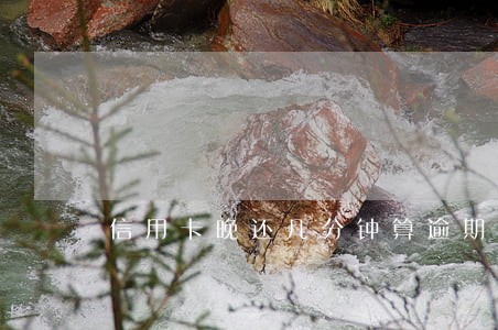 信用卡晚还几分钟算逾期吗 信用卡晚还几分钟算逾期吗