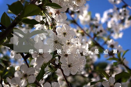 信用卡晚还几天是逾期