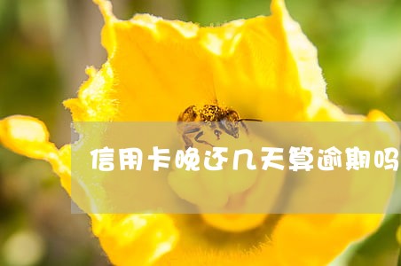 信用卡晚还几天算逾期吗 信用卡晚还几天算逾期吗