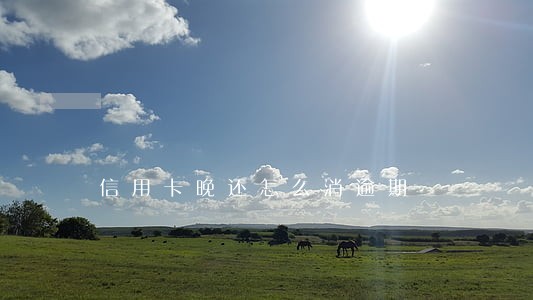 信用卡晚还怎么消逾期 信用卡晚还怎么消逾期