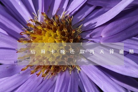 信用卡晚还款两天算逾期么 信用卡晚还款两天算逾期么