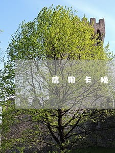 信用卡晚还款几天收逾期费 信用卡晚还款几天收逾期费