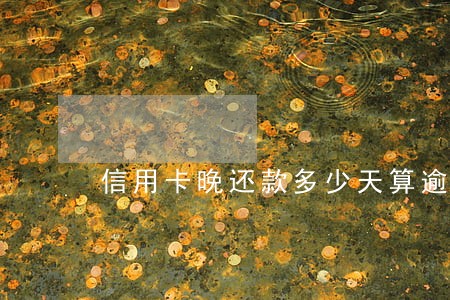 信用卡晚还款多少天算逾期 信用卡晚还款多少天算逾期